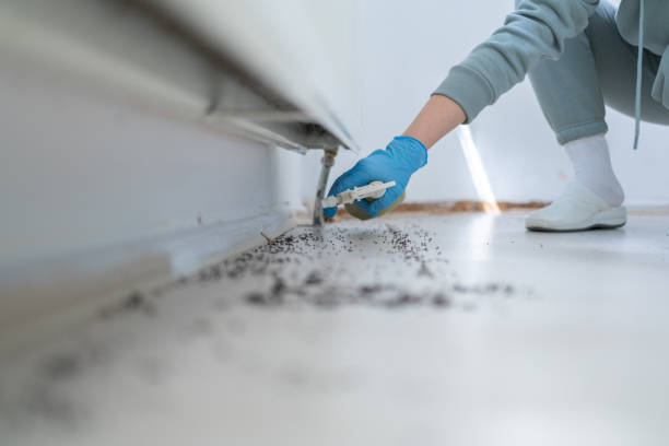 Best Exterminator Services  in Pennville, PA