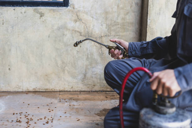 Best Emergency Pest Control  in Pennville, PA